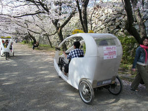DSCF8456.jpg