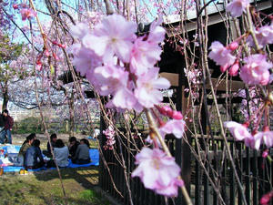 DSCF8464.jpg
