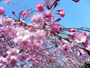 DSCF8465.jpg