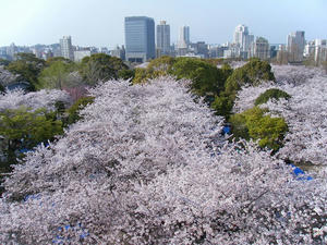 DSCF8459.jpg