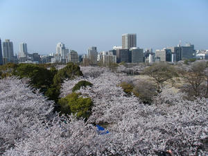 DSCF8461.jpg