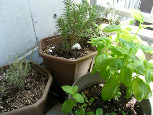 DSCF8953.jpg