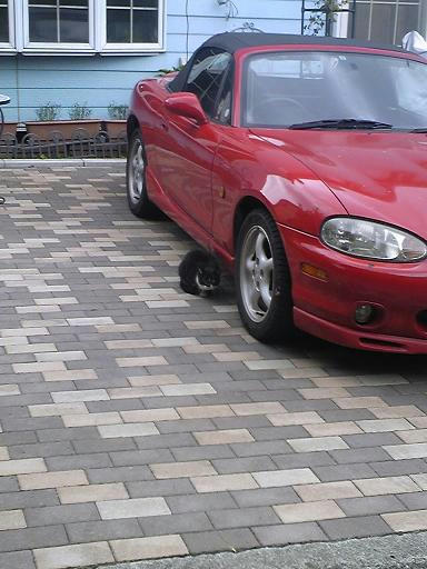 SH370114.JPG