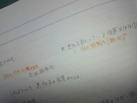 SH370380.JPG