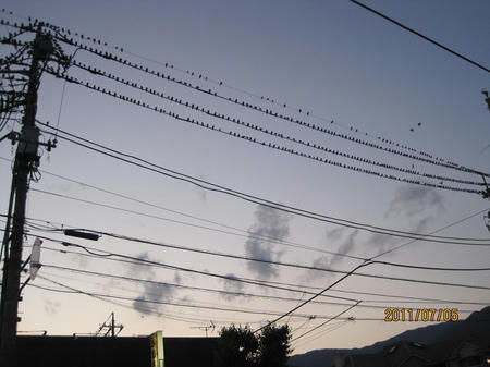 IMG_0777.JPG