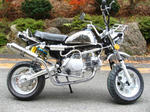 twinmufflerbike.jpg