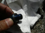 2010053113430000.JPG