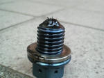 2011041418290000.JPG