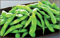 014-edamame.jpg