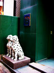 DSCF0213.jpg