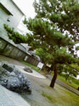 どっかしらの公園