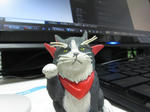 グレーター招き猫 F8.0