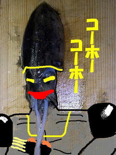 fb70acf9.JPG