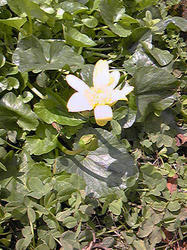 20100311.jpg