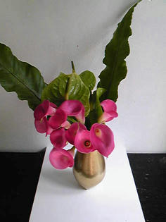 20100430.jpg