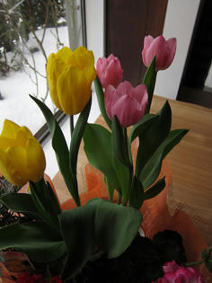 20110203-1.jpg