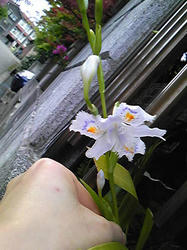 20110509-2.jpg