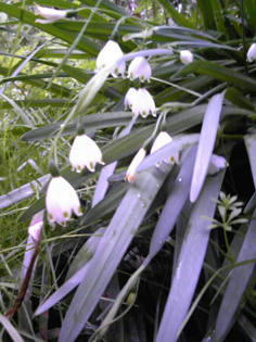 20110509-3.jpg