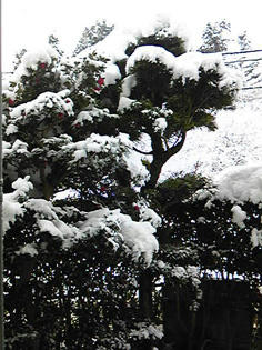 20120128.jpg