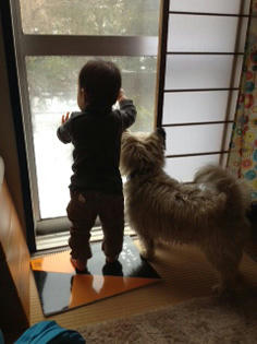 20121219.jpg