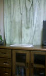 080614_0206~0001.jpg