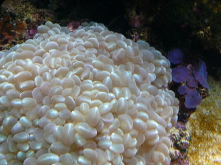 91ccd746.JPG