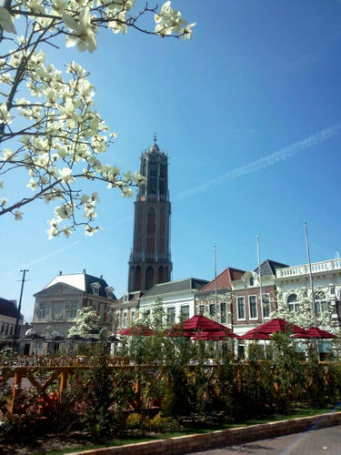 FxCam_1362975547651.jpg