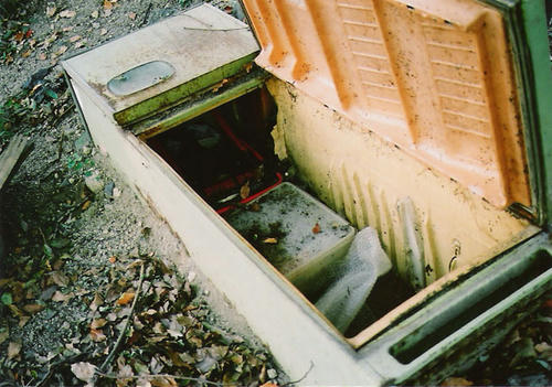 p017.jpg