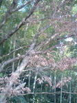 6a8a51a7.jpg