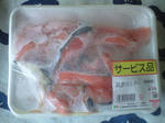 8093f6a4.JPG
