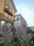 8308930e.JPG