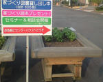 e037054d.JPG