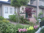 4100d297.JPG