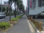 c4473a0a.JPG