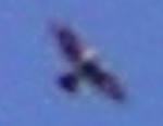 0f4446db.jpg