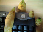 a5d871e3.jpg