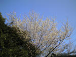 c7b989a3.jpg