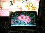 b8083ed4.jpg