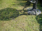 2793e518.jpg