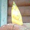 134c924a.PNG