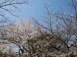 a716b0f5.jpg