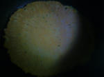 68d5d741.jpg