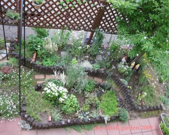 2009　ｍｙ　ｓｍａｌｌ　ｇａｒｄｅｎ