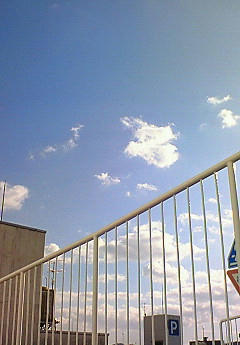 201001261455000.jpg