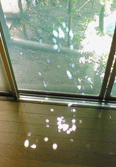 20090903213245.jpg