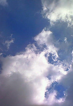 201002031349000.jpg
