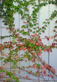 20091027153018.jpg