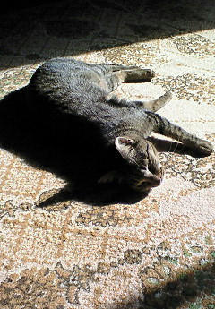 201002190954000.jpg