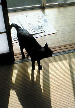 20091121205620.jpg