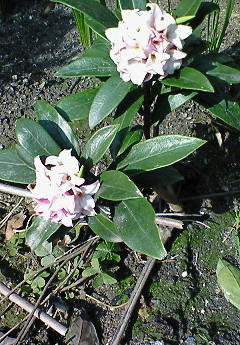 201003110957000.jpg